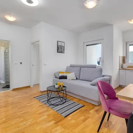 Roni + Besplatan Parking Apartment