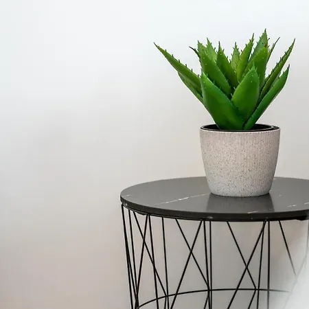 Roni + Besplatan Parking Zara