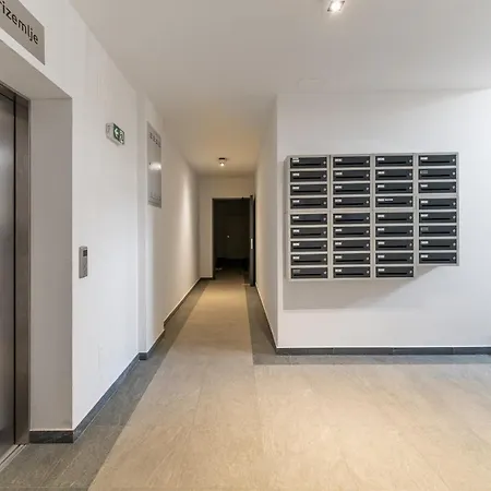 Roni + Besplatan Parking * זאדאר