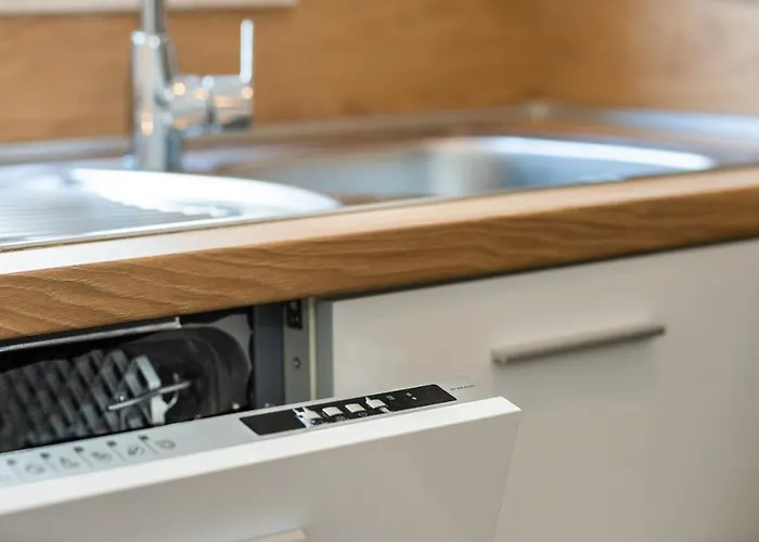 公寓 Roni + Besplatan Parking