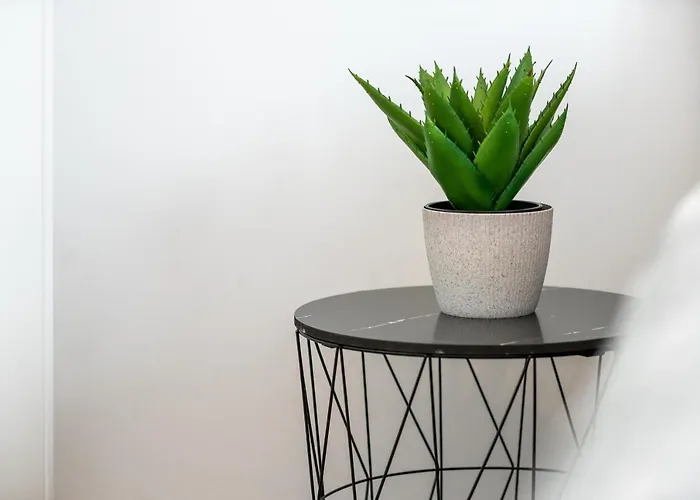 Roni + Besplatan Parking 扎达尔